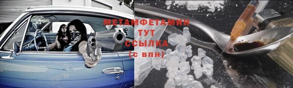 прущие грибы Балабаново
