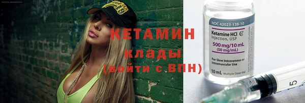 прущие грибы Балабаново