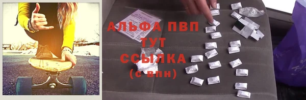 прущие грибы Балабаново