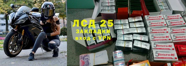 прущие грибы Балабаново