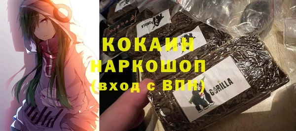 прущие грибы Балабаново