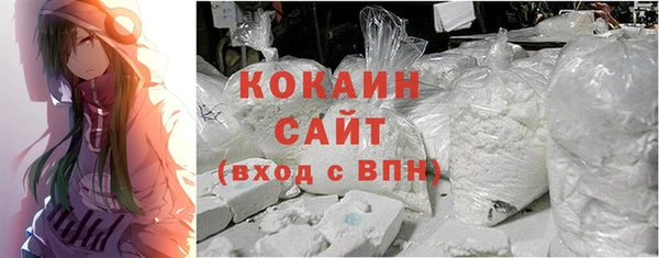 прущие грибы Балабаново