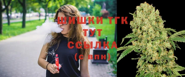 прущие грибы Балабаново