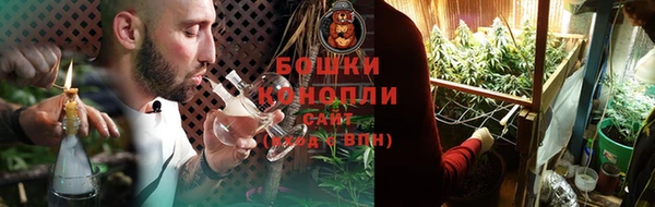 прущие грибы Балабаново