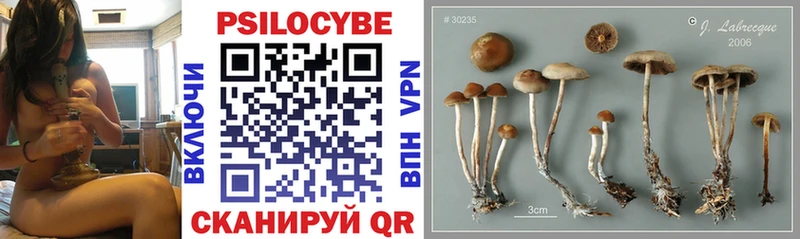 Галлюциногенные грибы Magic Shrooms Верхотурье