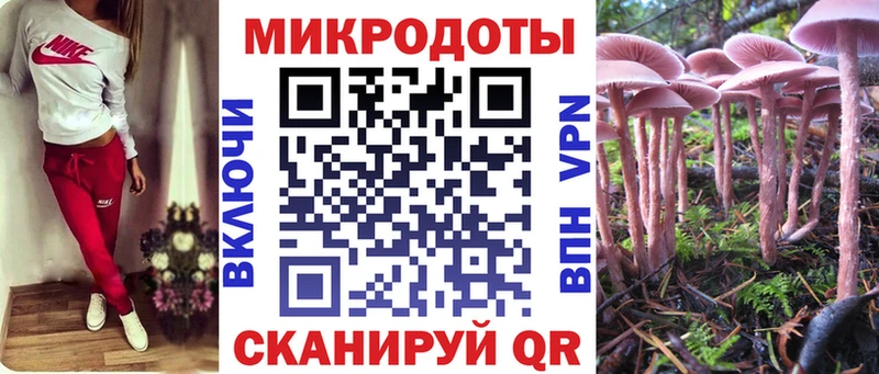 Псилоцибиновые грибы Psilocybe  Верхотурье 